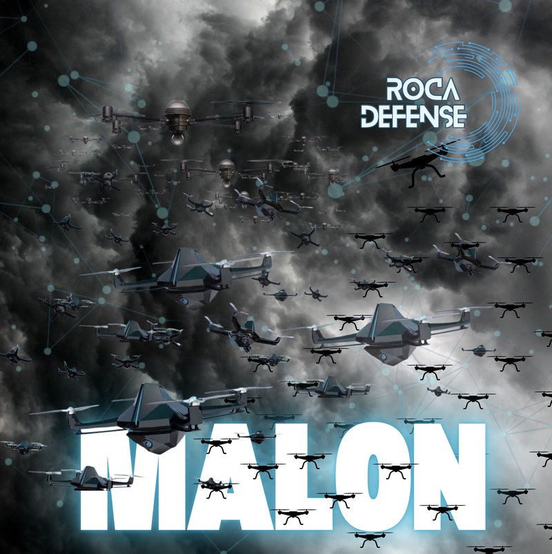 Flight management system for "swarm" attack drones from a single command, with mission management programming, and final autonomous management